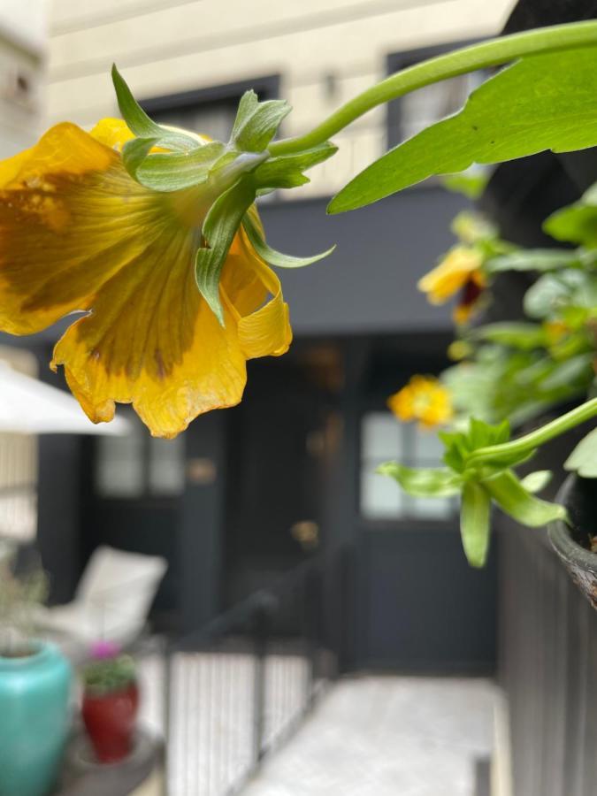 Villa Brown Tel-Aviv, A Member Of Brown Hotels Bagian luar foto